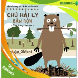 (TẶNG BOOKMARK) Miền hoang dã - Chú hải ly bận rộn - Nicholas Oldland - 2022 - Tủ ong mật, Thiếu nhi