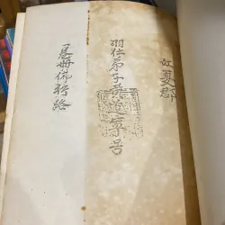 PỤT TÀY - CHANT CULTUEL DE L'ETHNIE TÀY DU VIỆT NAM, song ngữ Việt - Pháp (XB 1992) 760239