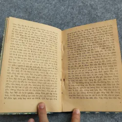 MÙA RẪY - NAM HÀ 606651