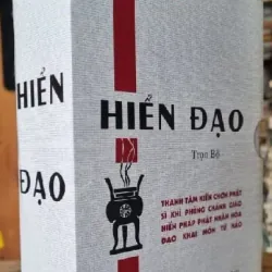 TRỌN BỘ HIỂN ĐẠO - Thanh-Sĩ ( bộ 2 cuốn ) 1020857