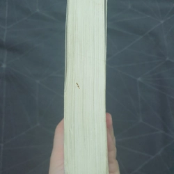 "Từ bi thành" - Đinh Mặc 471372