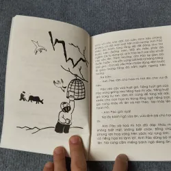 ĐÁM CHÁY TRÊN CÁNH RỪNG ĐẦU NGUỒN 720699