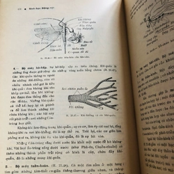📚 SINH HỌC ĐỘNG VẬT  503988