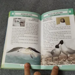 TỪ ĐIỂN TRANH VỀ CÁC LOÀI CHIM 719833