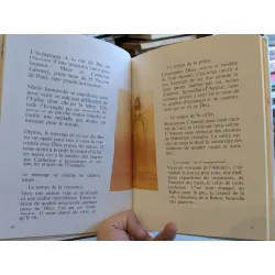 Le message de catherine labouré : Dynamique de vie 688878