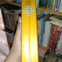 Câu ví, phương ngôn, phong dao, ca vè 1002292