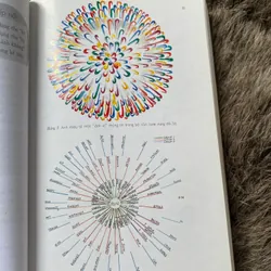 Sơ đồ tư duy- Tony Buzan  603182