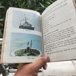 Kỹ Thuật Trồng Và Ghép Mai - Huỳnh Văn Thới 928913