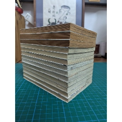 TRUYỆN TRANH RINNE CẢNH GIỚI LUÂN HỒI 386705