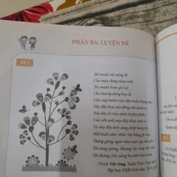 Thi THPT môn Ngữ Văn- Nghị Luận Văn Học. Giáo viên Chí Bằng 738484