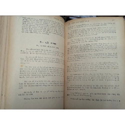 NGUỒN GỐC MÃ LAI CỦA DÂN TỘC VIỆT NAM - BÌNH NGUYÊN LỘC 140724