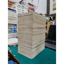 Truyện tranh kiếm sĩ mushashi 500387