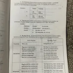  TIÊNG VIỆT VIETNAMESE FOR BEGINNERS , tiếng Việt cho người nước ngoài  1008544