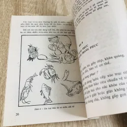 TÌM HIỂU TỰ NHIÊN VÀ XÃ HỘI 3 1019075