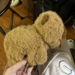 gấu bông ôm cặp capybara 526049