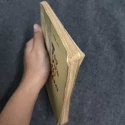 Tùy Viên thi thoại - Viên Mai 763234