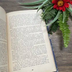 Э. ХЕМИНГУЭЙ СТАРИК И МОРЕ| Ông già và biển cả" (Старик и море) của nhà văn Ernest Heming 1035583