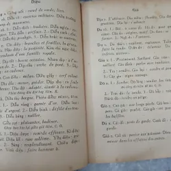 ĐỒNG ÂM VẬN TUYỂN VIỆT - PHÁP 687940