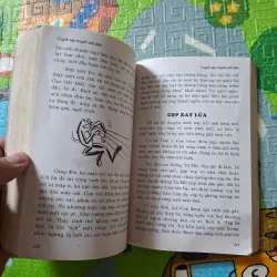 Tuyển tập Tiếu lâm Việt Nam 1029082