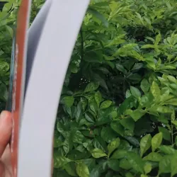 Mùa đông của Gunter tiểu thuyết của Juan Manuel Marcos  1001355