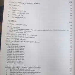 Siêu Lý Tiểu Học 717692