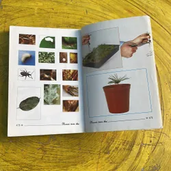 BONSAI TOÀN THƯ - HARRY TOMLINSON 735725