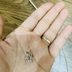 Đôi nụ bạc 925 971036