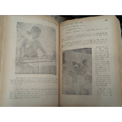 NGUỒN GỐC MÃ LAI CỦA DÂN TỘC VIỆT NAM - BÌNH NGUYÊN LỘC 140724