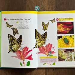 [Bìa cứng] INSECT WORLD (A Child’s First Library of Learning) 224287