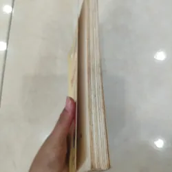 Tự học tiếng Anh 🌱 688896