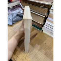 Bản đồ tu phật - Thích Thiện Hoa