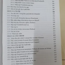 CÔN TRÙNG NHỆN GÂY HẠI CÂY ĂN TRÁI....  799628