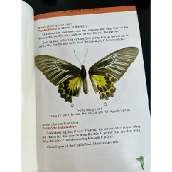 Các loài bướm ngày Phú Quốc - Bùi Hữu Mạnh