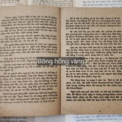 Konstantin Georgiyevich Paustovsky - tập truyện ngắn BÔNG HỒNG VÀNG 709260