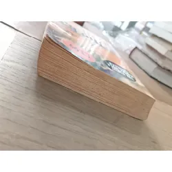 The bat - Jo Nesbo 597531