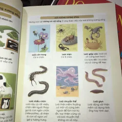 Khoa học thật hấp dẫn  1010087