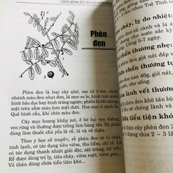 📗 CHỮA BỆNH TỪ CÂY CỎ VƯỜN NHÀ & BÀI THUỐC GIA TRUYỀN – Lương y Quách Văn Minh  482482