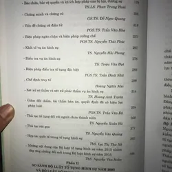 Những nội dung mới trong Bộ luật Tố tụng Hình sự năm 2015 704972