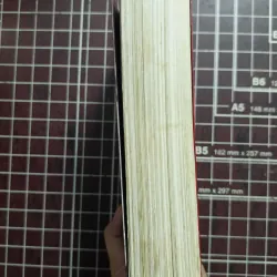 Võ Nguyên Giáp trong cuộc trường chinh thế kỷ - Trần Thái Bình 731125