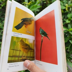Kỹ Thuật Nuôi Dạy Các Loài Chim - Lê Thanh - Nhã Uyên 532118