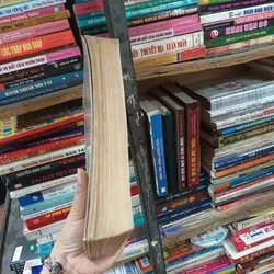 Tạng Thư Sống Chết- Sogyal Rinpoche 611720