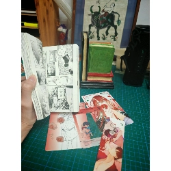 Sơn trà đỏ - Mita Rokuju 546390