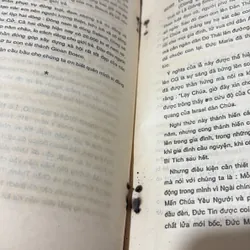 [Vui Lòng Xem Kỹ Tình Trạng Trước Khi Lựa Chọn] - II Sách Công Giáo: Mai, Mốt?  734538