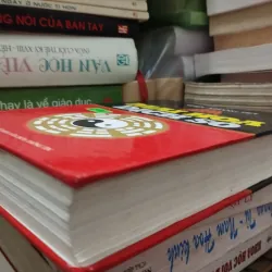 Mai hoa dịch số 996600