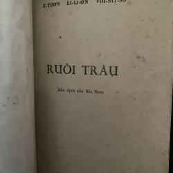 Ruồi Trâu- Theo Dấu Vết Ruồi Trâu  1030148