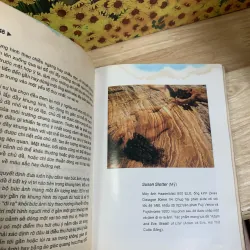 Nhiếp Ảnh Toàn Thư, Từ Máy Ảnh Đến Hình Ảnh - Trần Đức Tài 925857