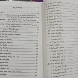 TRỐNG ĐỒNG KIỂU ĐÔNG SƠN Ở MIỀN NAM VIỆT NAM - PHẠM ĐỨC MẠNH 720826