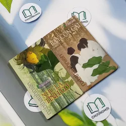 Combo Truyện: Như Là Tình Cờ, Bầy Con Gái (Tủ Sách Lá Me) 703132