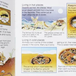 What's Under the Ground ? (Usborne Starting Point Science) 270574