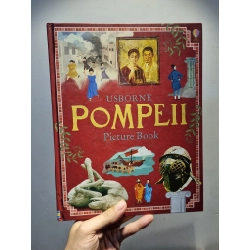 POMPEII : Picture Book (Usborne)